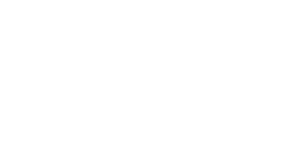 zarenord-logo